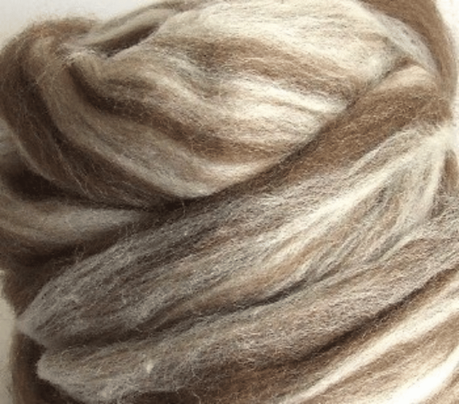 Shetland Humbug Combed Wool Top 100g