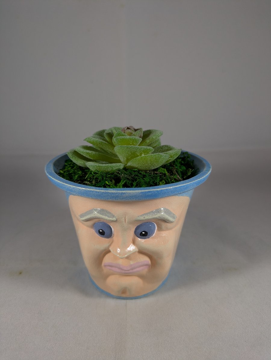 Small Blue Ceramic Container Artificial Succulent Plant Ornament Decoration.