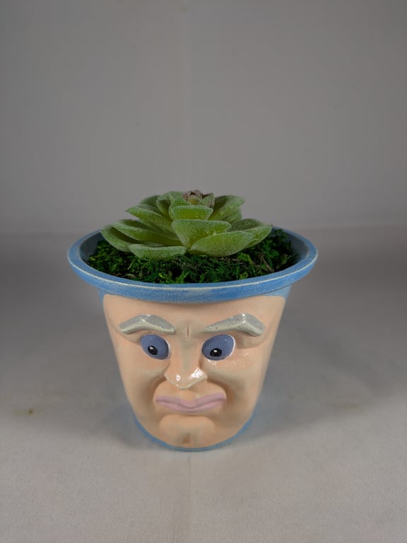 Small Blue Ceramic Container Artificial Succulent Plant Ornament Decoration.