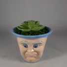 Small Blue Ceramic Container Artificial Succulent Plant Ornament Decoration.