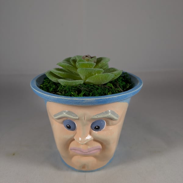 Small Blue Ceramic Container Artificial Succulent Plant Ornament Decoration.