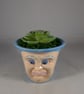 Small Blue Ceramic Container Artificial Succulent Plant Ornament Decoration.
