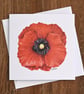 Poppy Blank Floral Card - Image 2