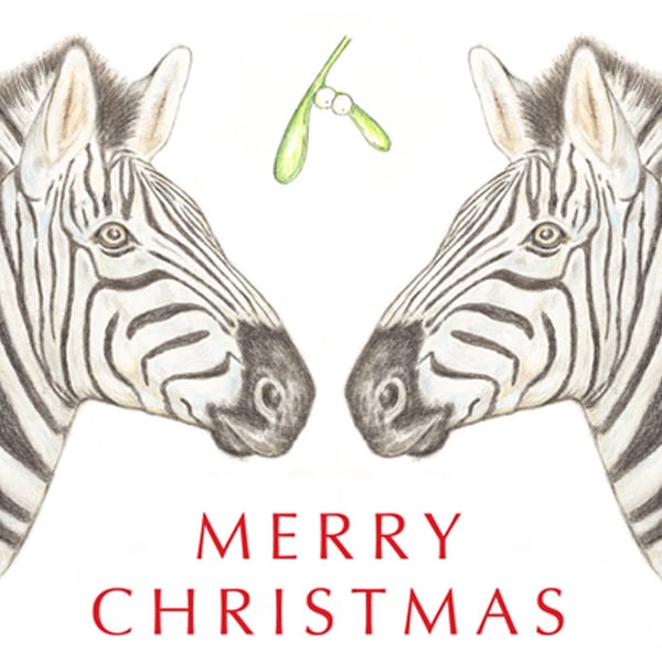 Zebras under the Mistletoe - Christmas Card
