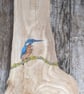 Original Large kingfisher painting on reclaimed and repurposed wood (elm) - Image 2