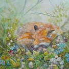 Valley fox
