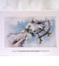 original hand painted print of a Sussex Seagull printed as a Greeting Card - Image 1