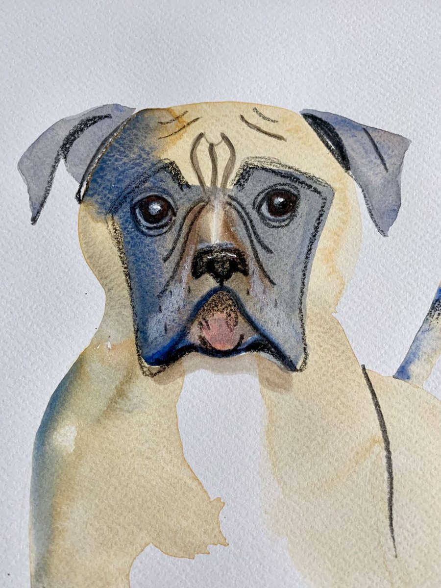Boxer dog original painting 