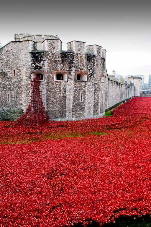 Tower of London Red Poppies England UK 12"x18" Print