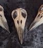 Corvid Skull - ceramic decoration