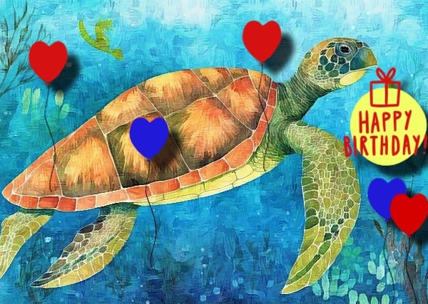 Turtle Birthday Card A5