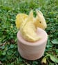 Buttercup Dragon Trinket Box - Image 2