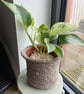 SOLD - Hand Knitted Plant Pot - Beige - Recycled Cotton - Medium - Image 3