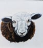 Herdwick Ewe Lamb Sheep Acrylic Portrait Painting  - Image 2