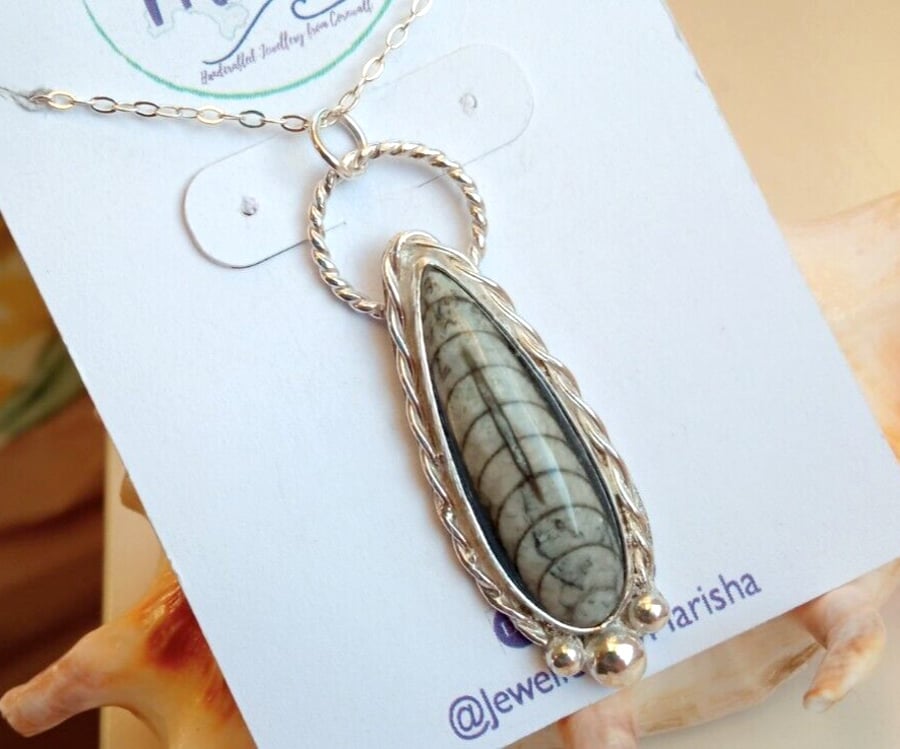 Orthoceras Fossil Necklace Jewellery Gift Recycled Silver Teardrop Pendant 