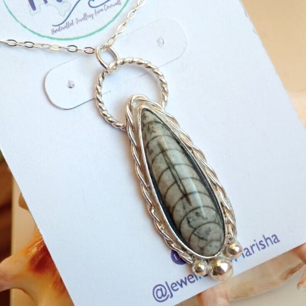 Orthoceras Fossil Necklace Jewellery Gift Recycled Silver Teardrop Pendant 