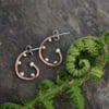 Copper Fern Fronds Earrings