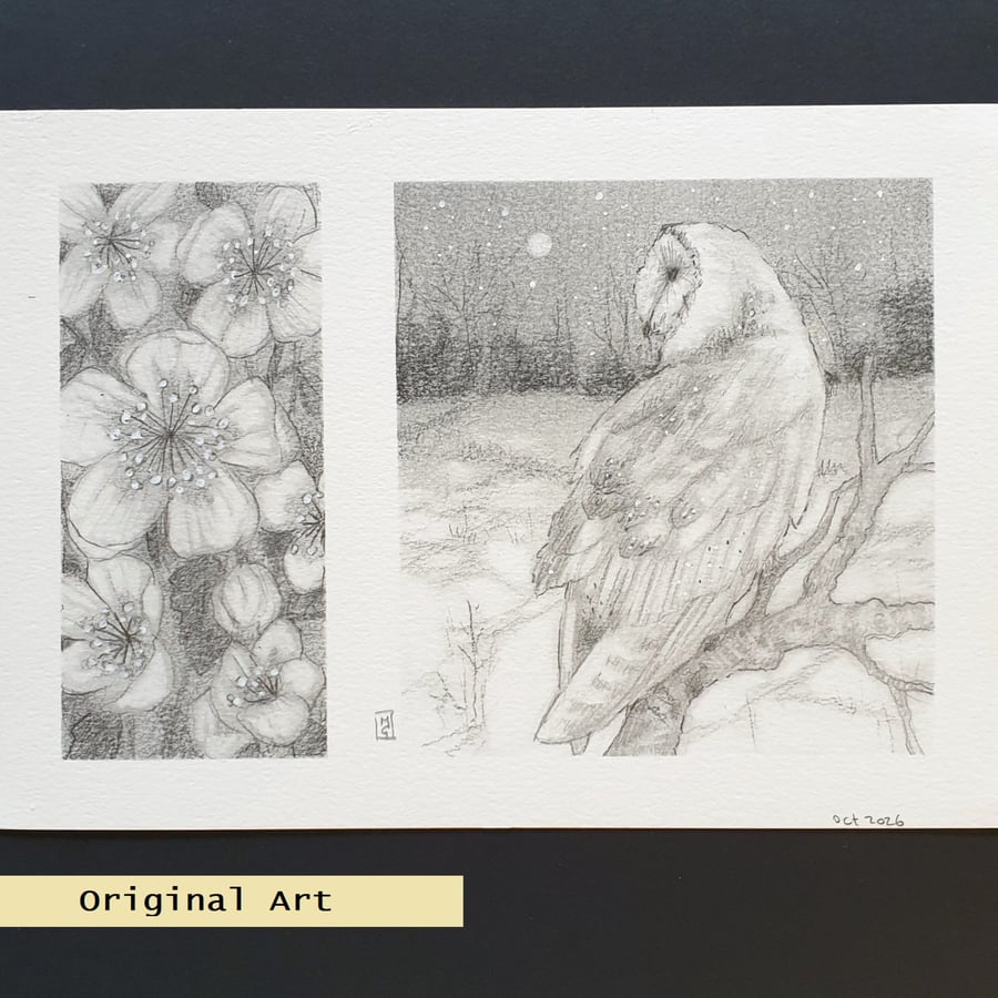 Pencil Drawings 5 - Winter barn owl with hellebore flowers, original drawing