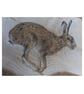 Hare Painting on Reclaimed Wood