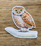Little Owl Fridge Magnet - Image 3