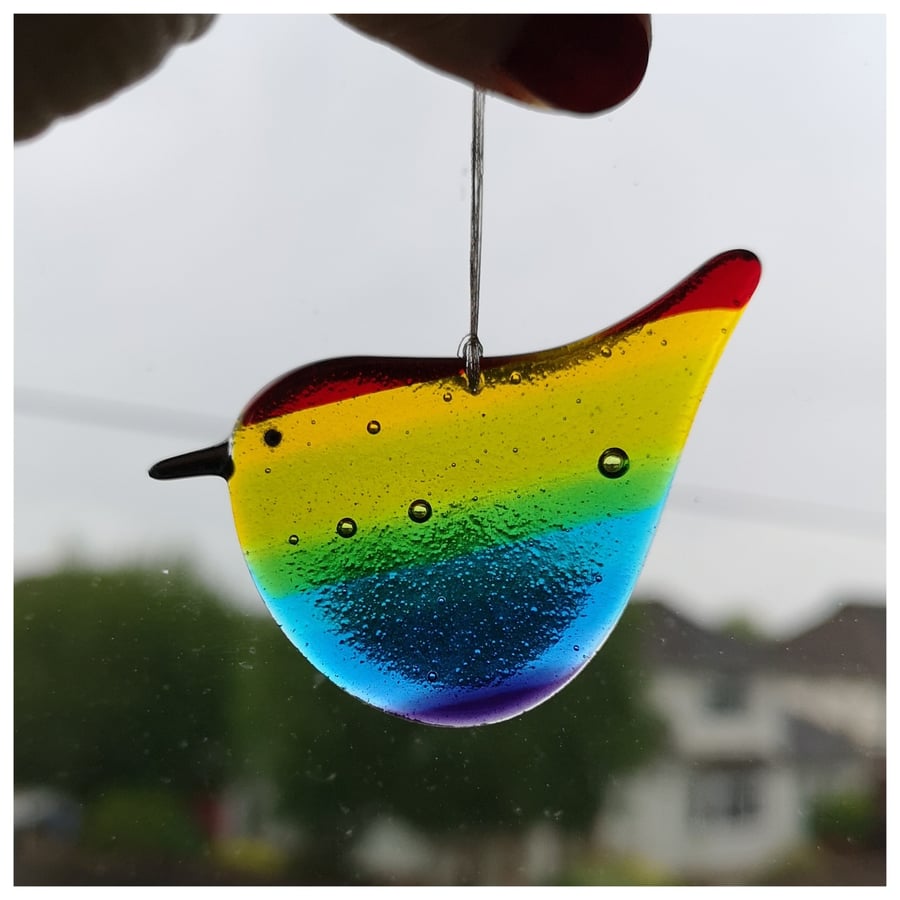 a chunky 'Rainbow Wren of Hope' bird called 'Bubbles'