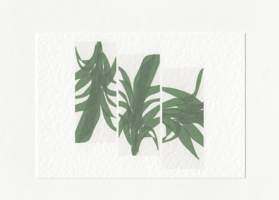 Palm Leaf Postcard Print A6