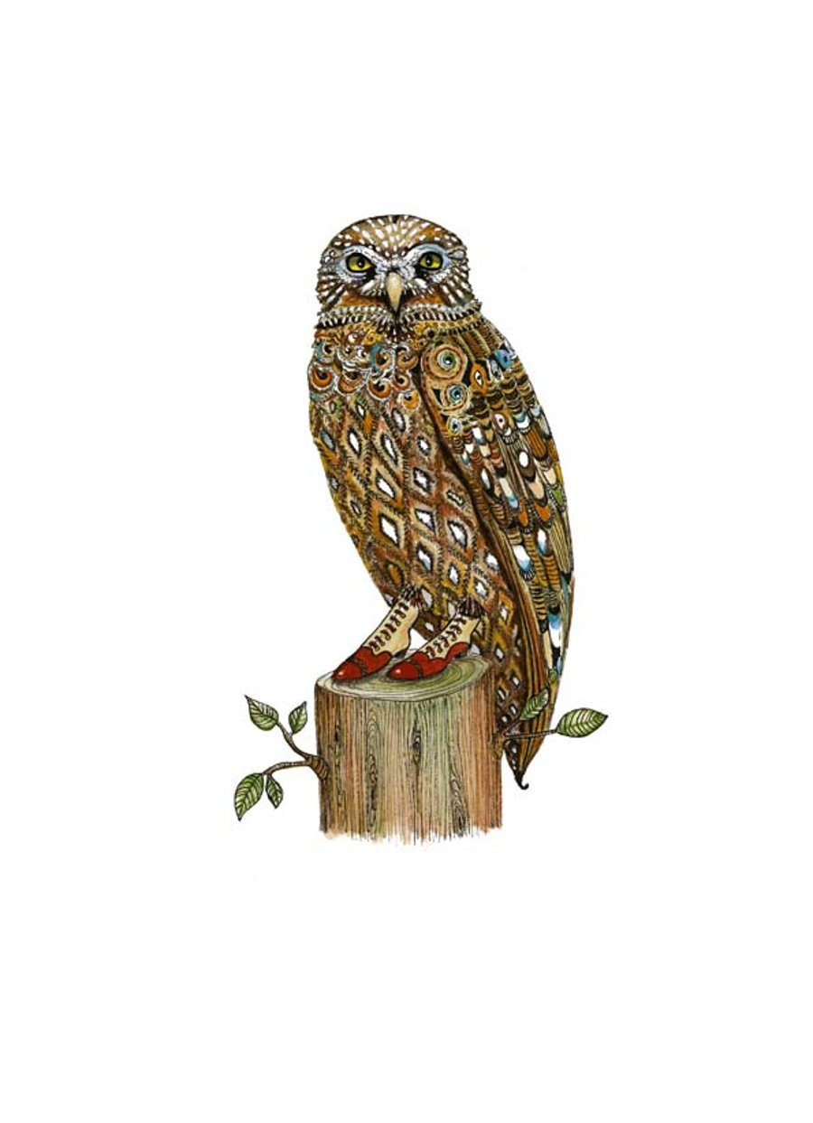 Owl illustration A4 giclee print