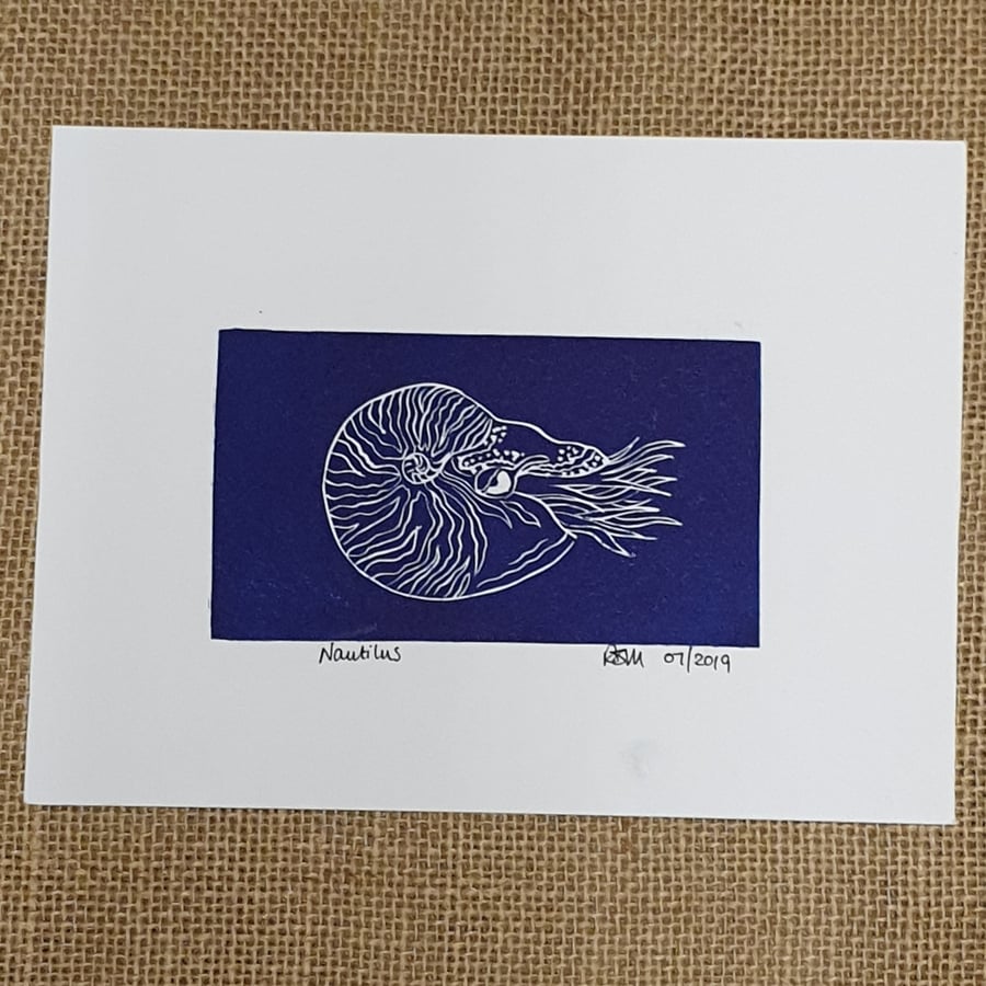 Nautilus, original lino print
