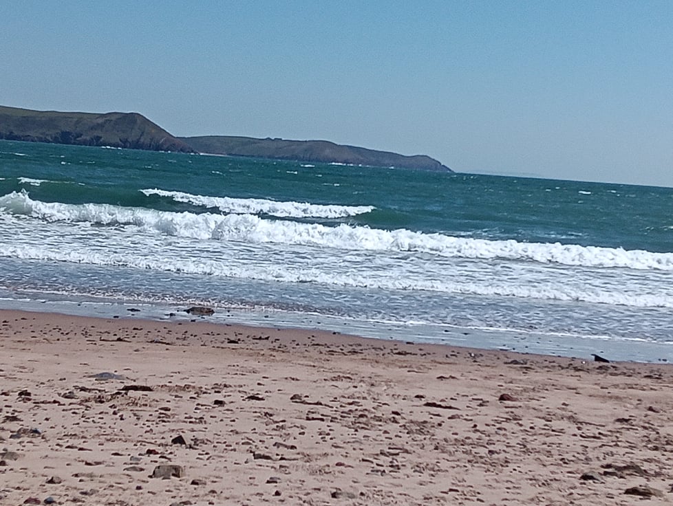 BORN ON THE WAVES