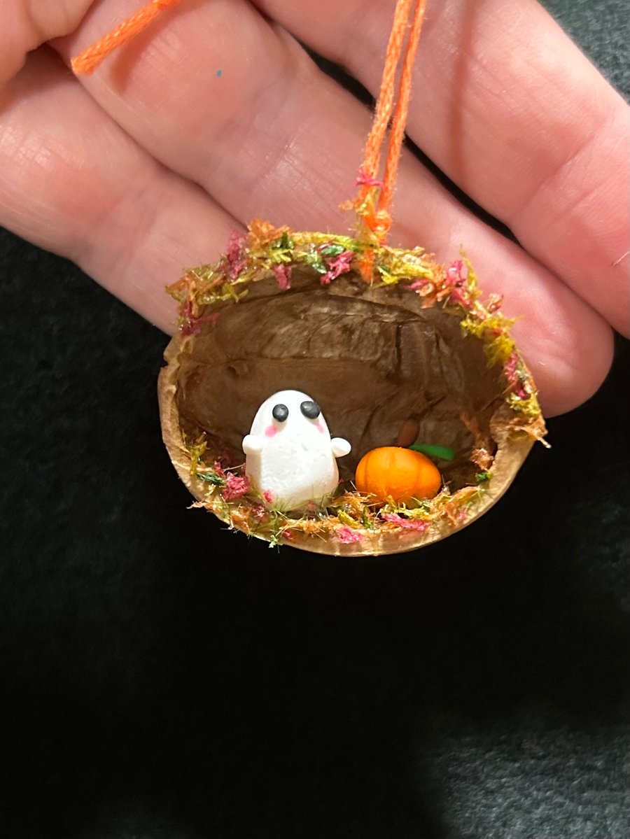 Little ghost in a walnut shell
