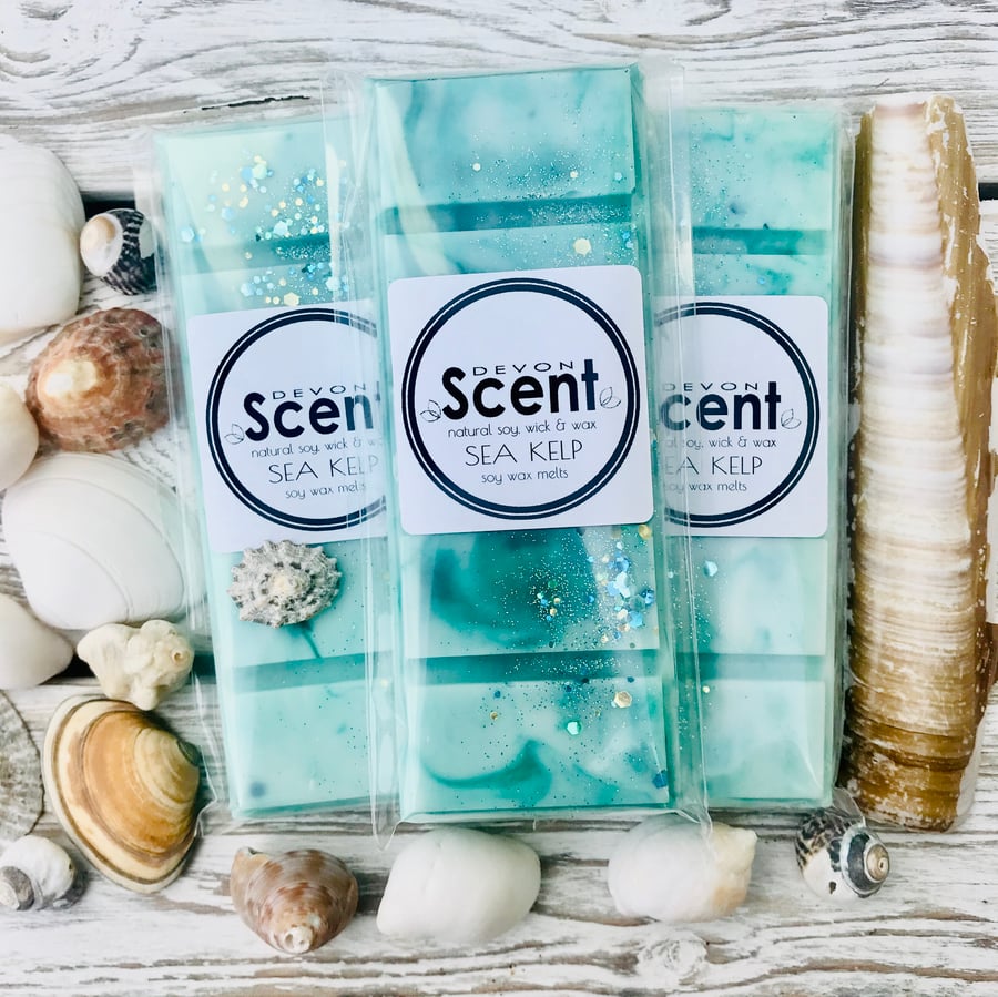 Sea Kelp Snap Bar Wax Melts
