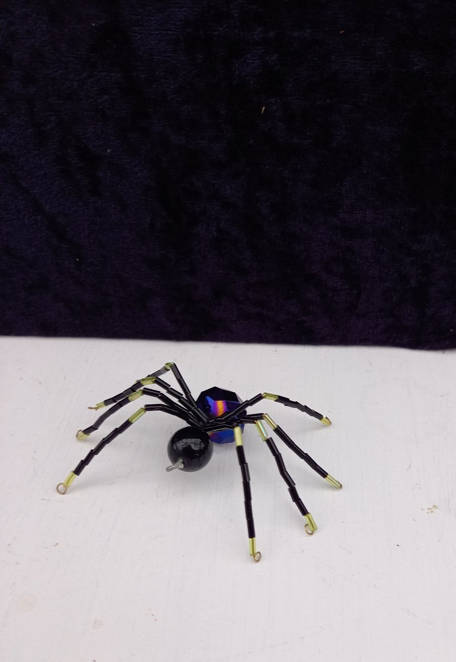 Spider