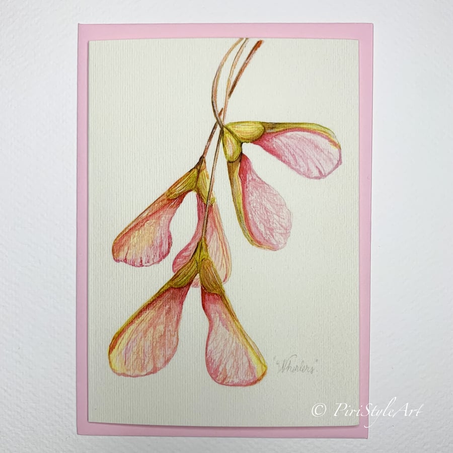  Helicopter Seeds (Whirlers) Botanical Card – Pinks & Greens Collection
