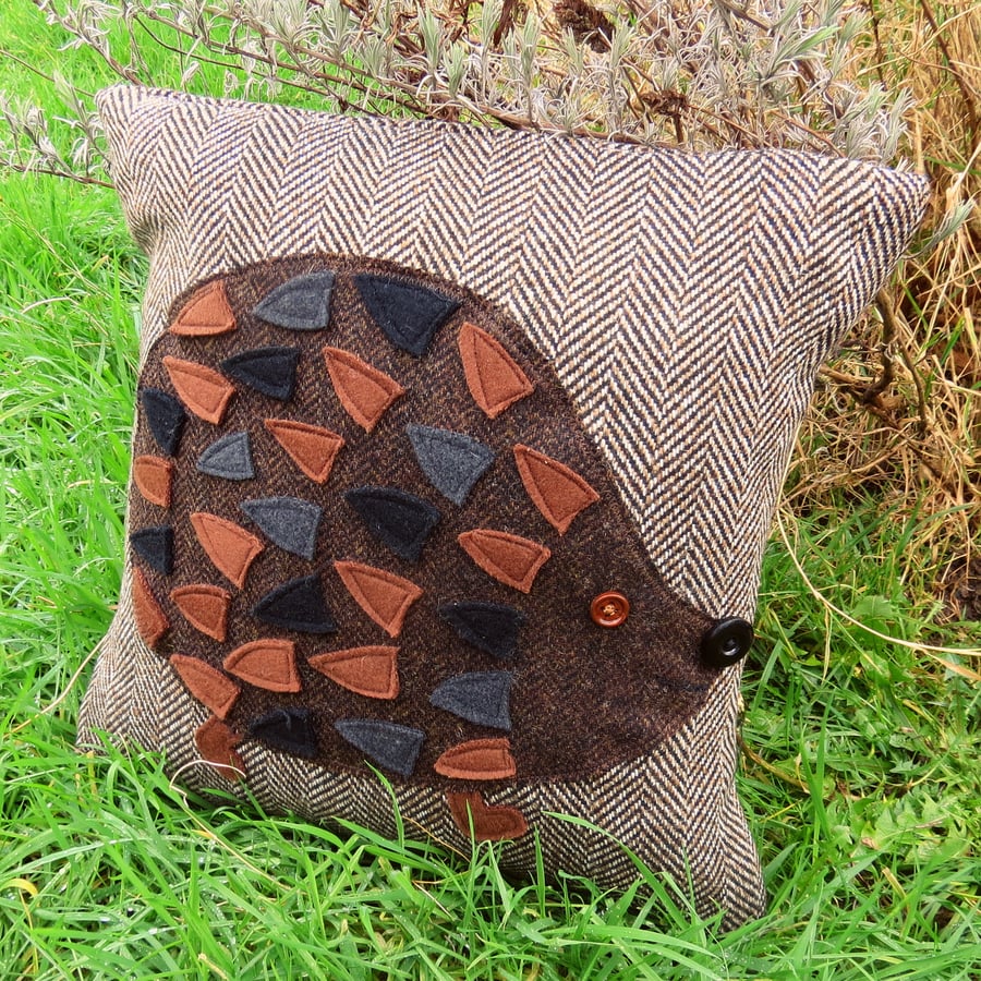 Mister hedgehog.  A cushion complete with feather pad.