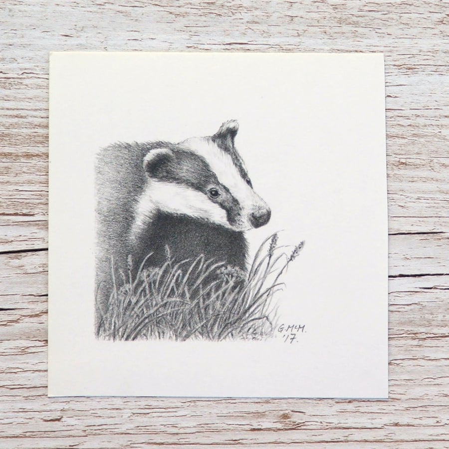 Original Pencil Drawing - Badger 1