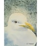 Original ACEO  Seagull Portrait Miniature Painting, Watercolour  - Image 3