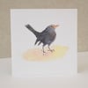 Blank Card 'Blackbird'