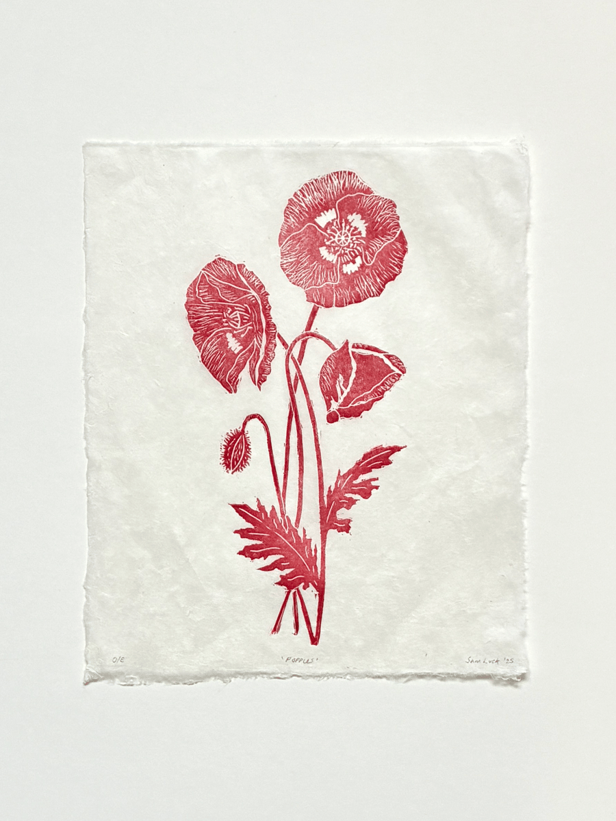Wild poppies original linocut print in red