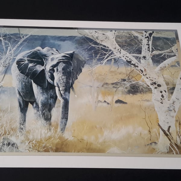 Elephant Blank Greeting Card - Wildlife Artwork by Pollyanna Pickering