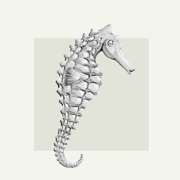 Seahorse coaster in neutral coastal collection beach house style tableware