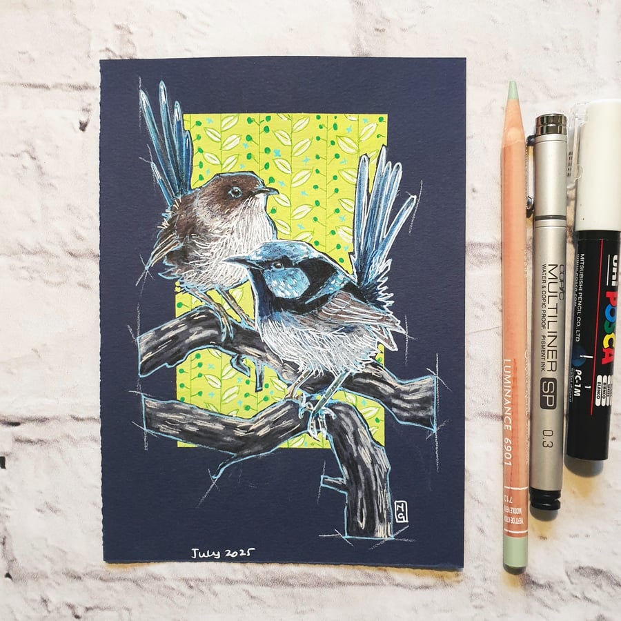Two Superb Fairy Wrens original bird drawing, bird wall art