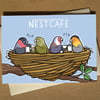 Nestcafe - Funny Coffee Birdwatching Greeting Card A6 - Pun Birthday Card