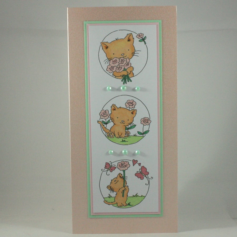 Any occasion greetings card - cute kitten trio