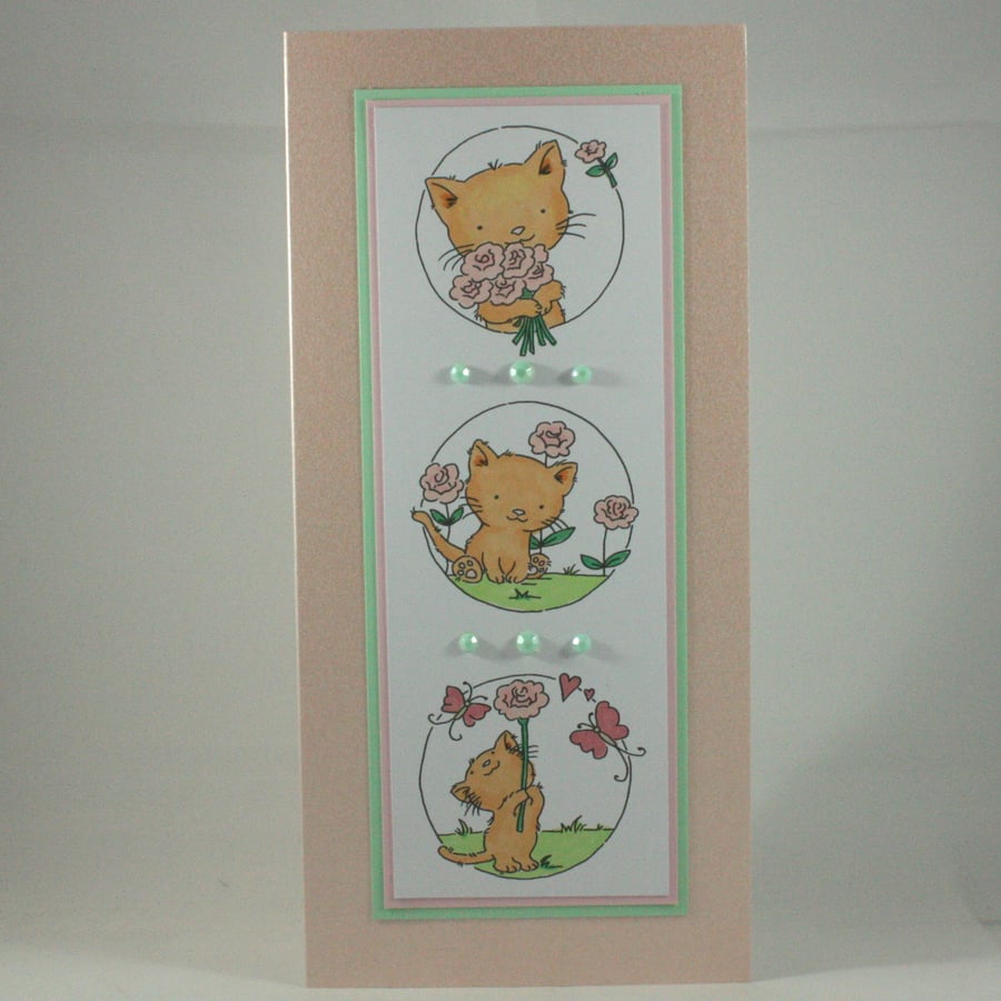 Any occasion greetings card - cute kitten trio