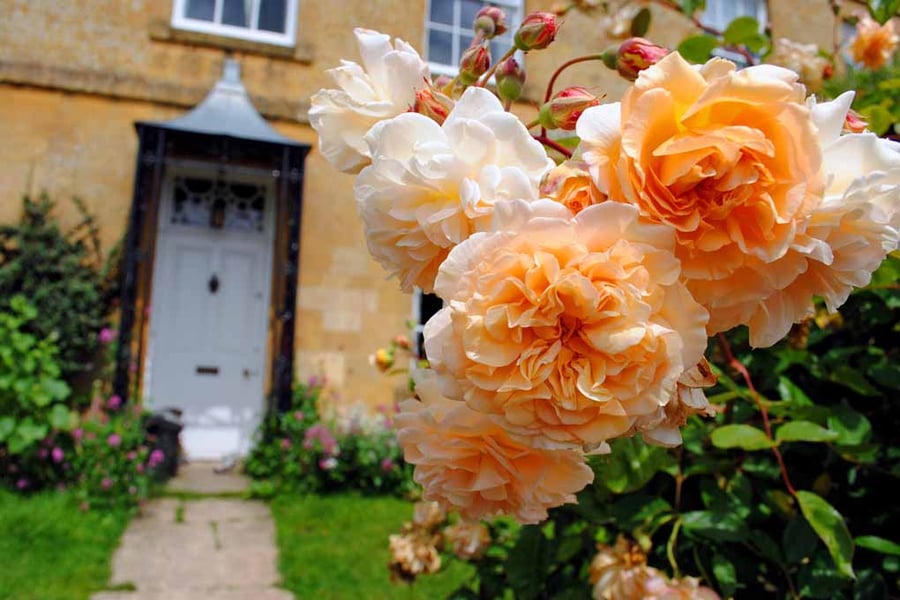 Blockley Village Cottage Cotswolds Gloucestershire Photograph Print