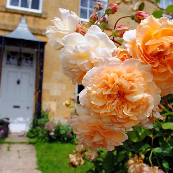 Blockley Village Cottage Cotswolds Gloucestershire Photograph Print