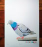 Pigeon (large original spraypaint art) - Image 2