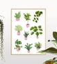 Houseplants Art Print - Plant Lover Gift - Image 6