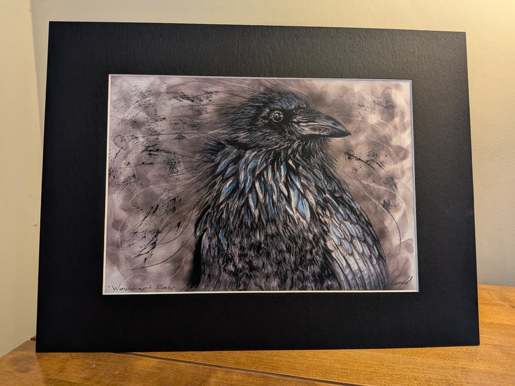 Windswept Raven, an A4 or A3 signed print of an original drawing.