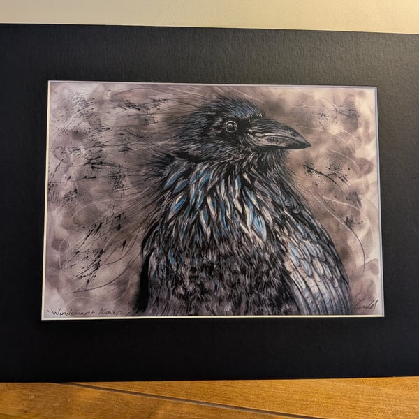 Windswept Raven, an A4 or A3 signed print of an original drawing.
